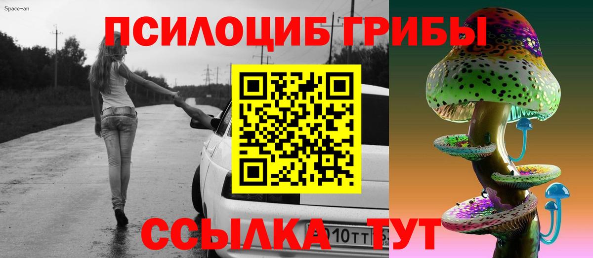 Псилоцибиновые грибы MAGIC MUSHROOMS Апшеронск